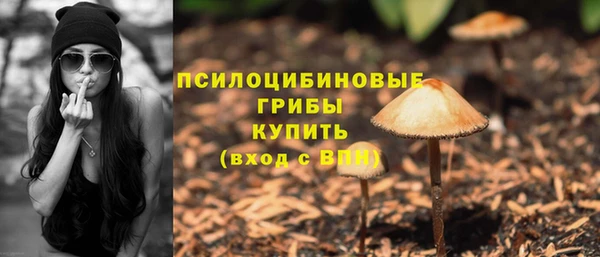 эйфоретик Семилуки