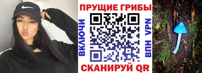 Галлюциногенные грибы мицелий  купить наркоту  kraken сайт  shop формула  Емва 